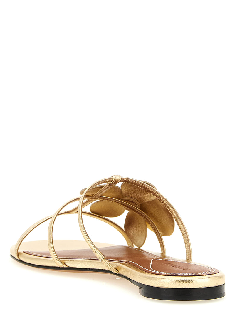 Zimmermann Gold Leather Slides - Elegant and Chic Footwear