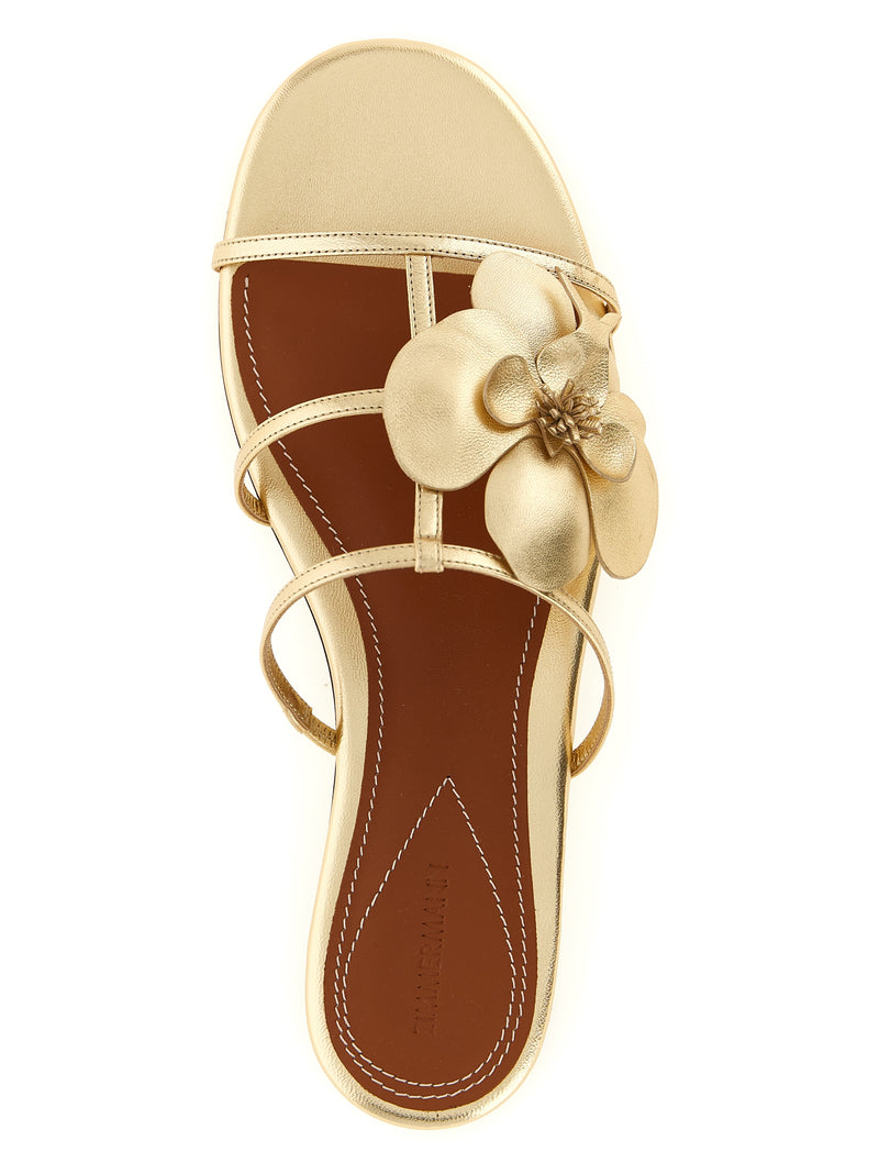 Zimmermann Gold Leather Slides - Elegant and Chic Footwear