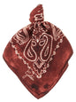 Golden Goose Bordeaux Silk Foulard