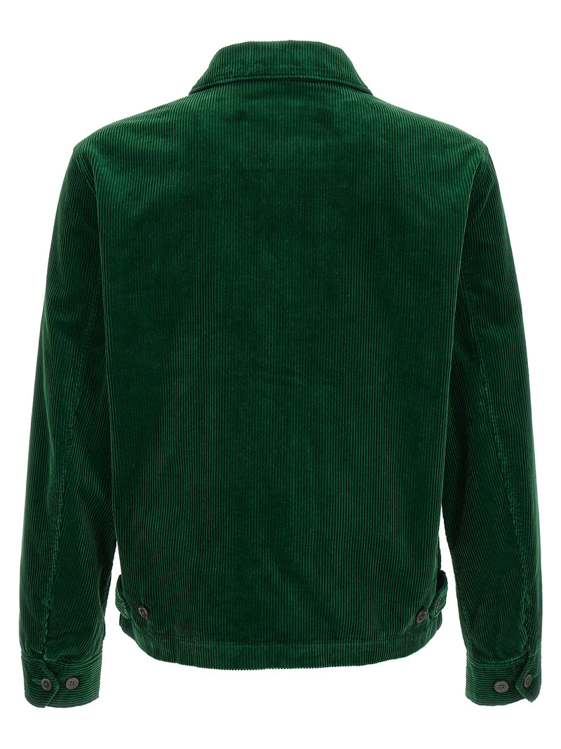 Polo Ralph Lauren Bicolor Cotton Jacket