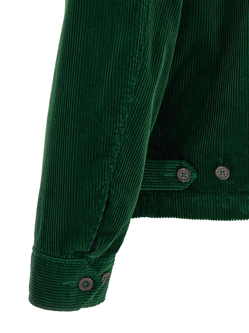 Polo Ralph Lauren Bicolor Cotton Jacket