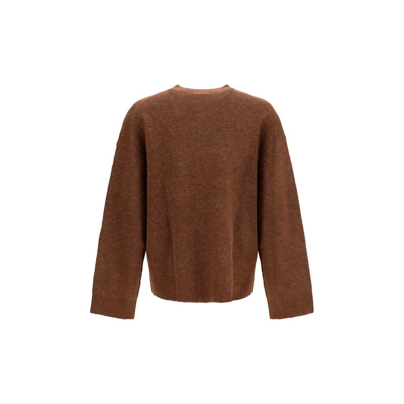 Represent Brown Alpaca Vicugna Pacos Sweatshirt