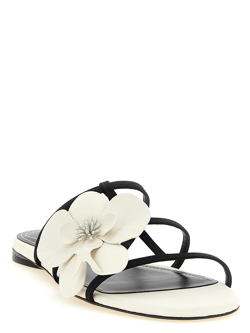 Zimmermann Bicolor Leather Slides for Women
