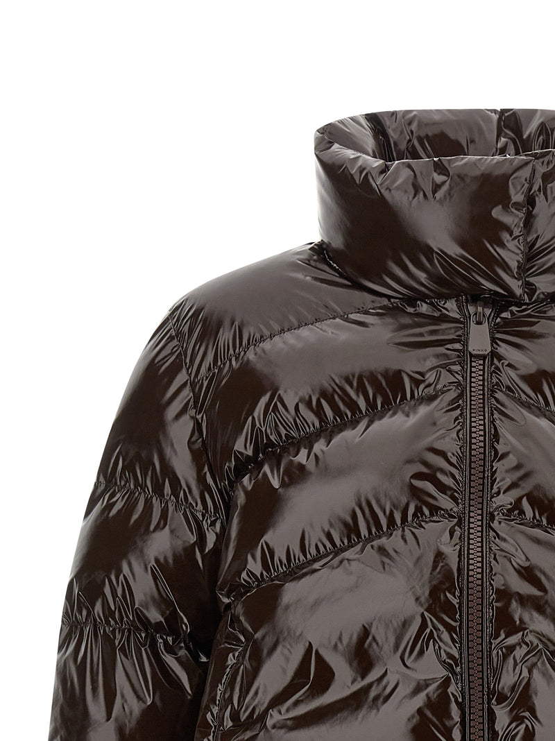 PINKO Brown Polyamide Full-Length Jacket - Stylish & Practical