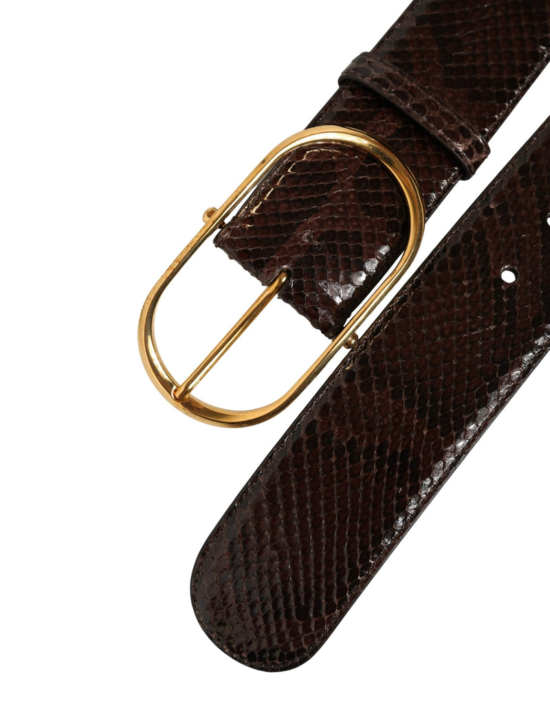 Ceinture Dolce &amp; Gabbana en cuir de python marron avec boucle en métal doré
