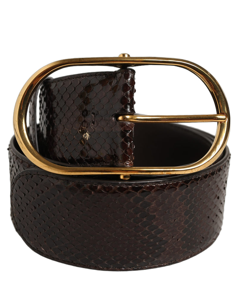 Ceinture Dolce &amp; Gabbana en cuir de python marron avec boucle en métal doré