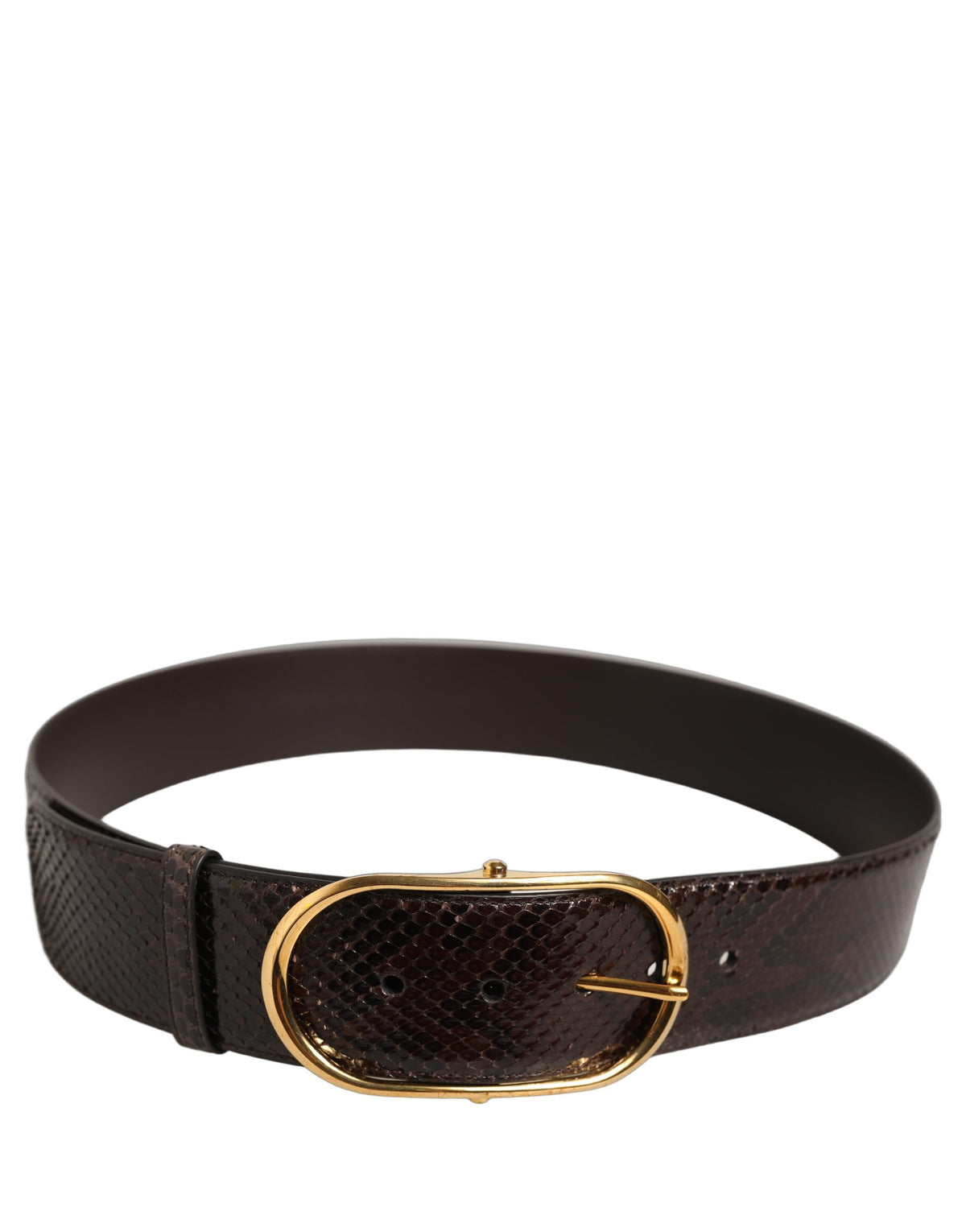 Ceinture Dolce &amp; Gabbana en cuir de python marron avec boucle en métal doré