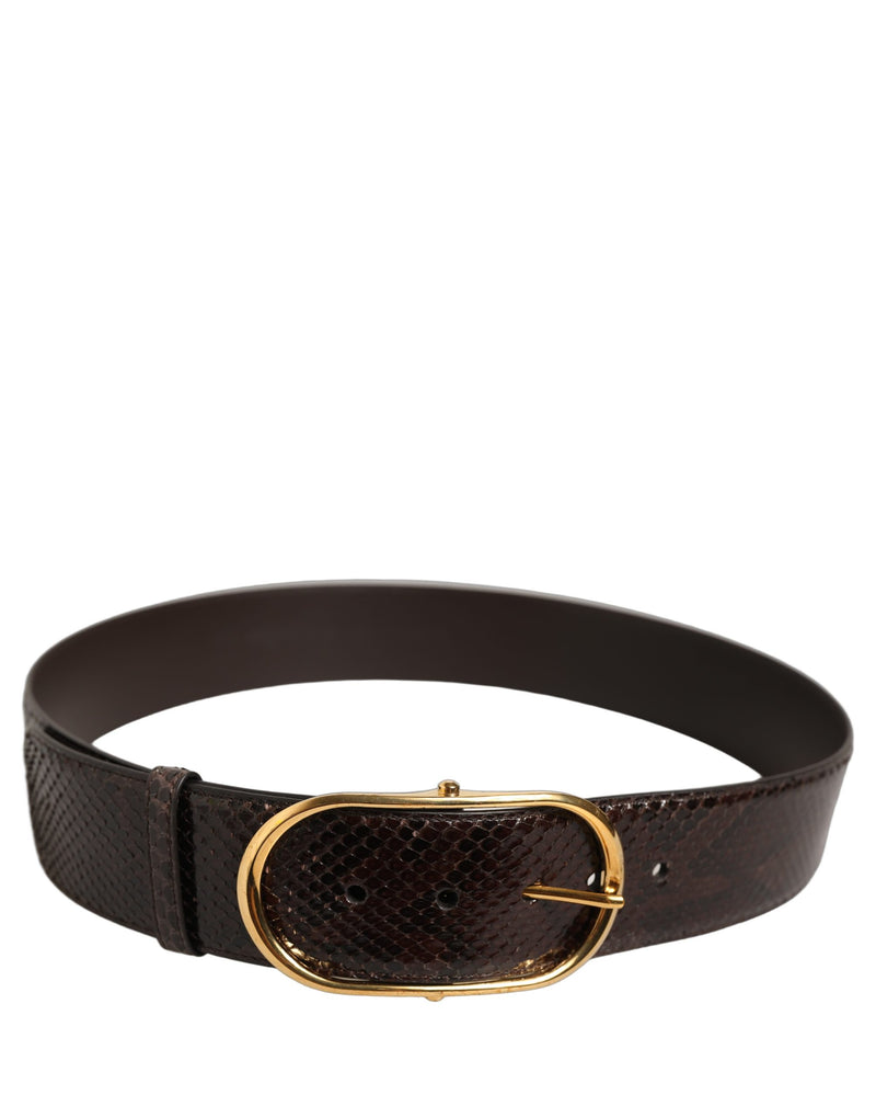 Ceinture Dolce &amp; Gabbana en cuir de python marron avec boucle en métal doré