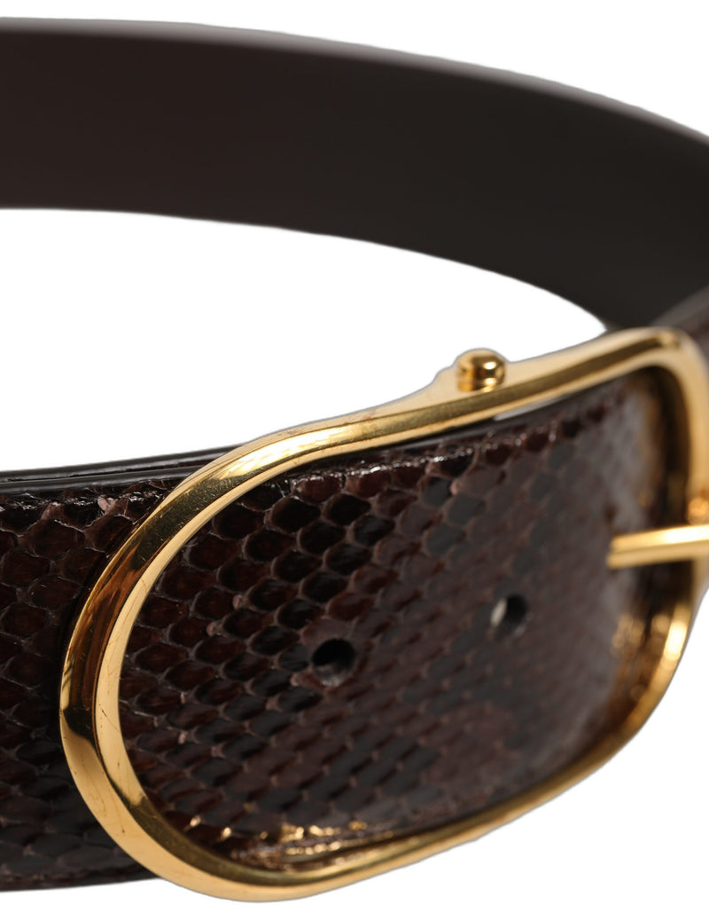 Ceinture Dolce &amp; Gabbana en cuir de python marron avec boucle en métal doré