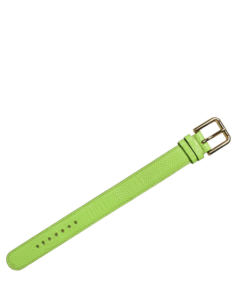 Bracelet de ceinture Dolce & Gabbana en cuir texturé vert et boucle dorée