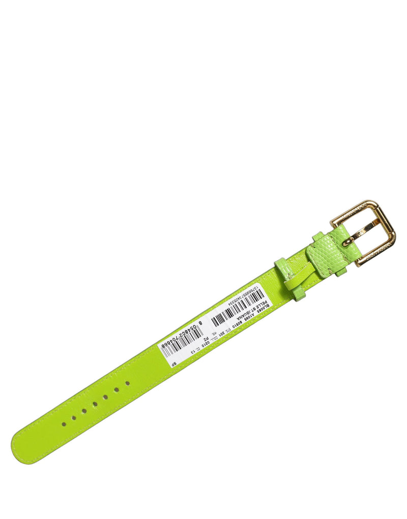 Bracelet de ceinture Dolce & Gabbana en cuir texturé vert et boucle dorée