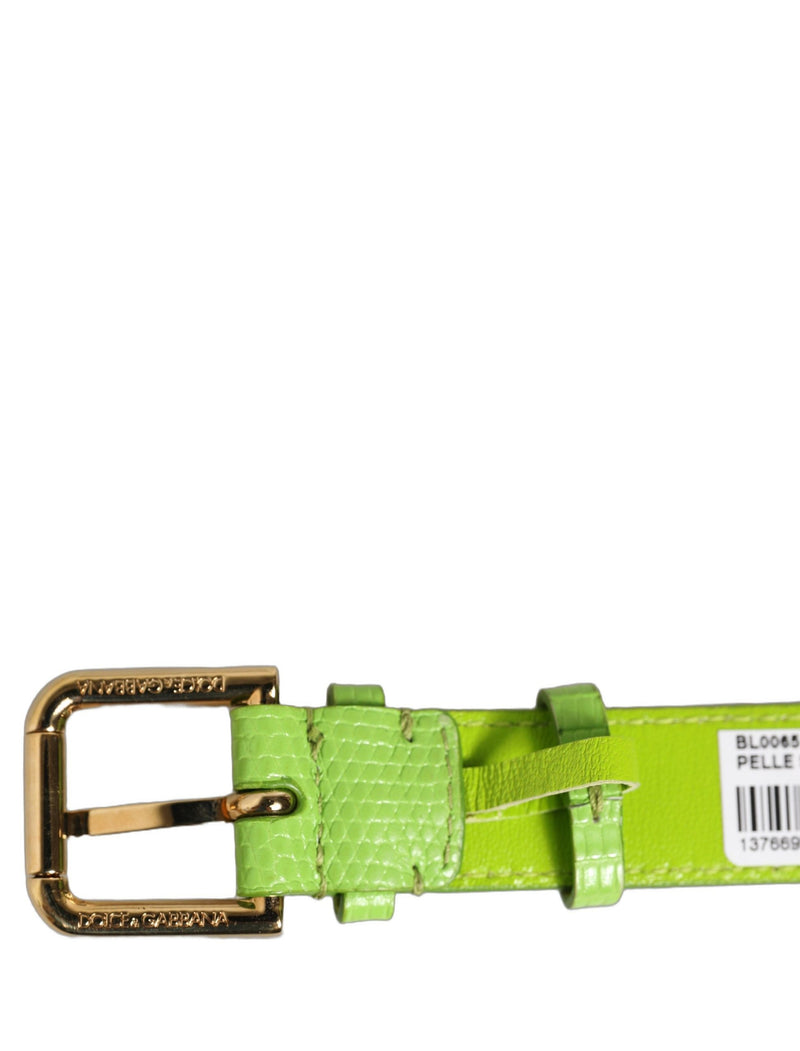 Bracelet de ceinture Dolce & Gabbana en cuir texturé vert et boucle dorée