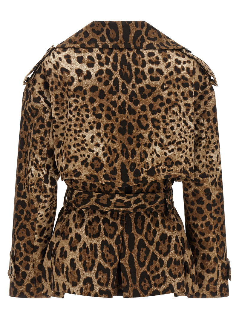 Manteau en coton marron Dolce & Gabbana