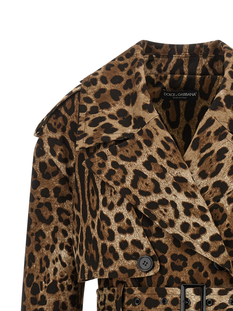 Manteau en coton marron Dolce & Gabbana