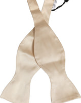 Dolce & Gabbana Homme Papillon Ajustable 100% Soie Beige