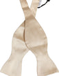 Dolce & Gabbana Men Beige 100% Silk Adjustable Neck Papillon Bow Tie