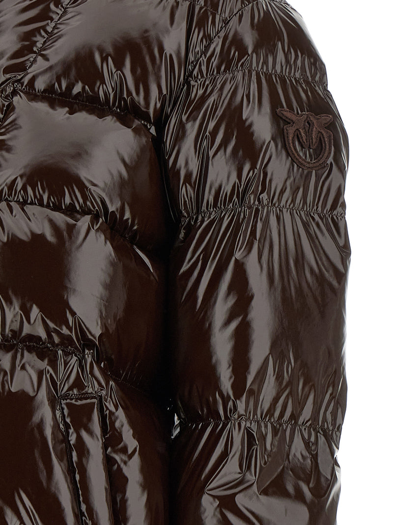PINKO Brown Polyamide Full-Length Jacket