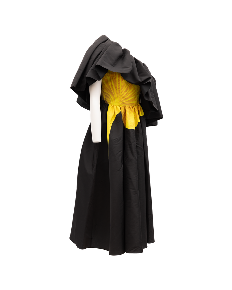 Alexander McQueen Black Women Acetate Dress