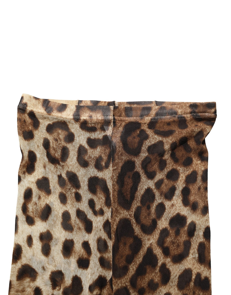 Dolce & Gabbana Brown Leopard Nylon Tights Stocking Pantyhose Socks