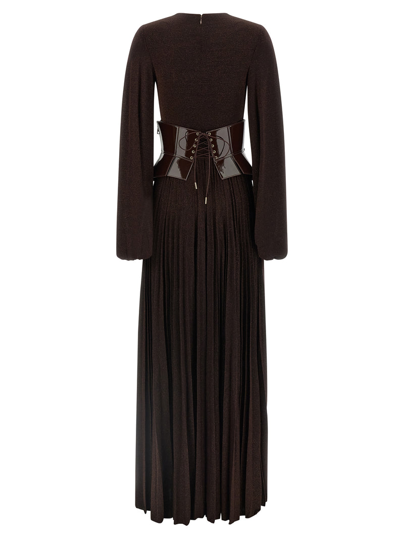 Elisabetta Franchi Brown Viscose Long Dress