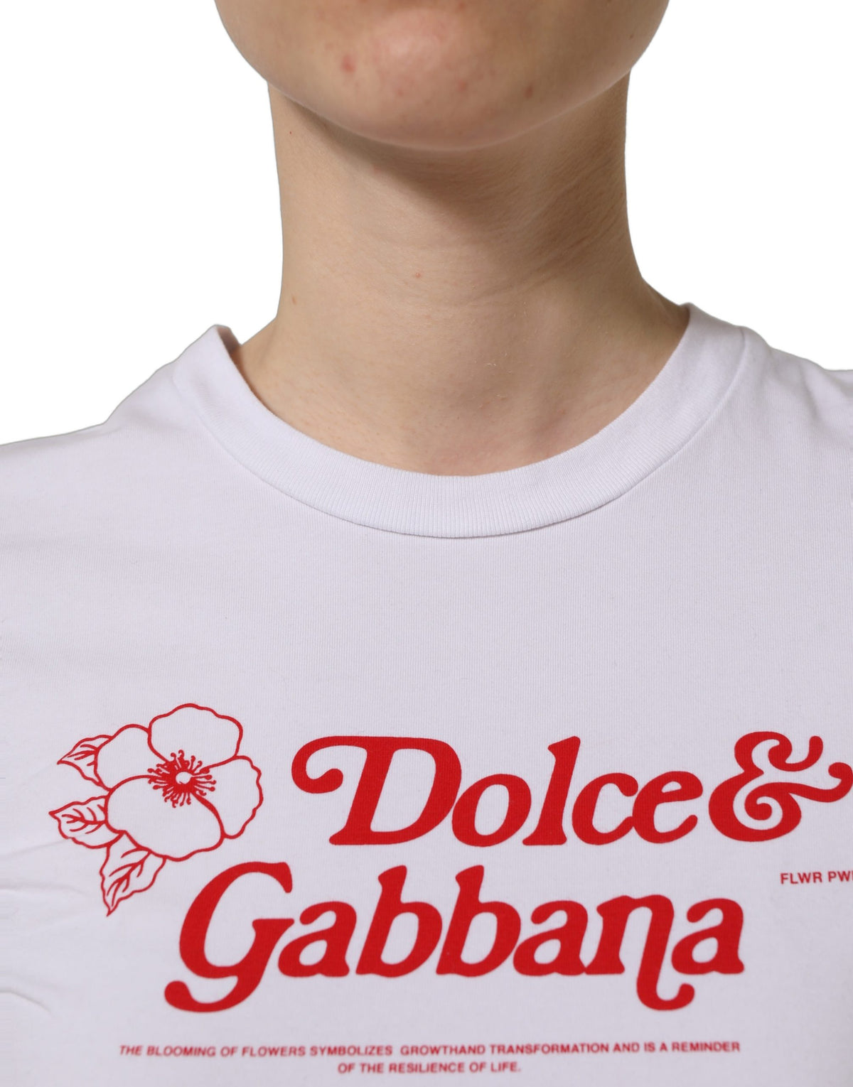 T-shirt col rond blanc Dolce & Gabbana à imprimé logo floral
