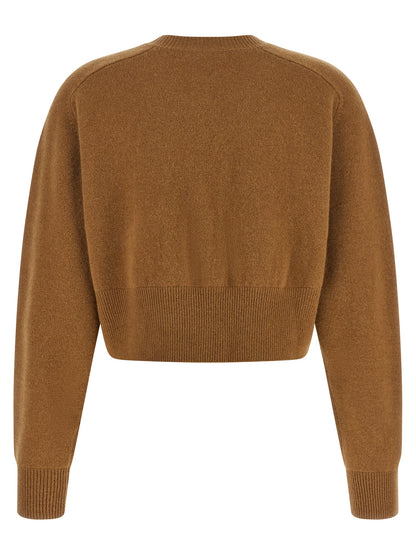 Elisabetta Franchi Brown Wool Cardigan