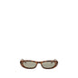 Saint Laurent Brown Acetate Sunglasses