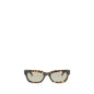 Saint Laurent Brown Acetate Sunglasses