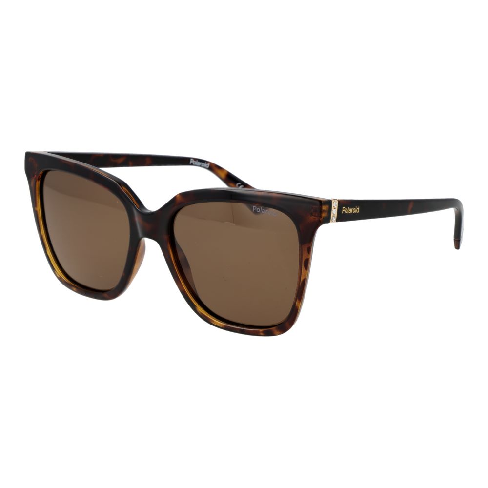 Polaroid Brown Polycarbonate Sunglasses for Women