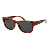 Polaroid Brown Plastic Sunglasses for Men