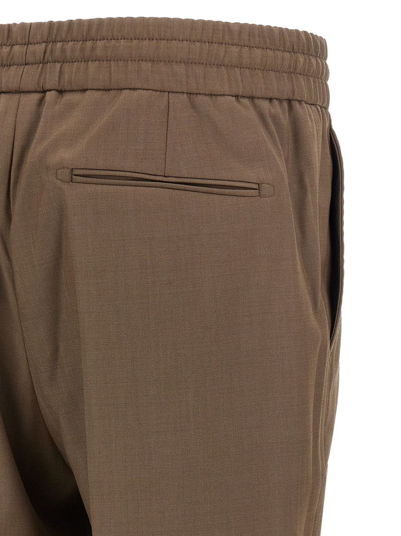 Brioni Asolo Brown Wool Casual Pants for Men