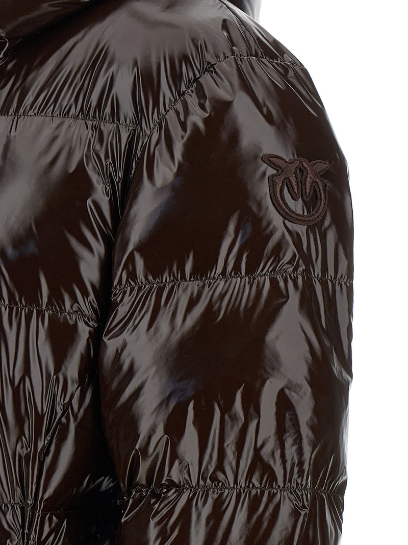 PINKO Brown Polyamide Full-Length Jacket for Women