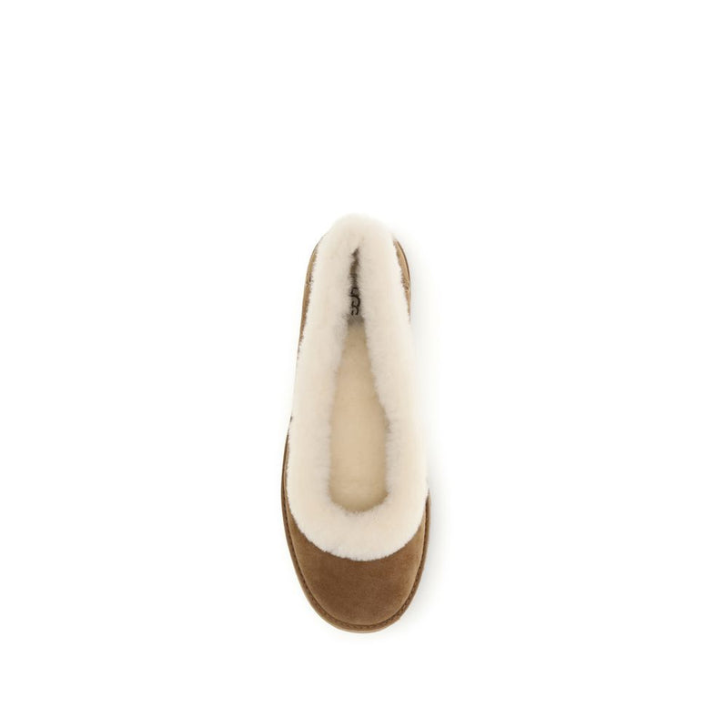 UGG Zora Beige Suede Leather Ballet Flats for Women