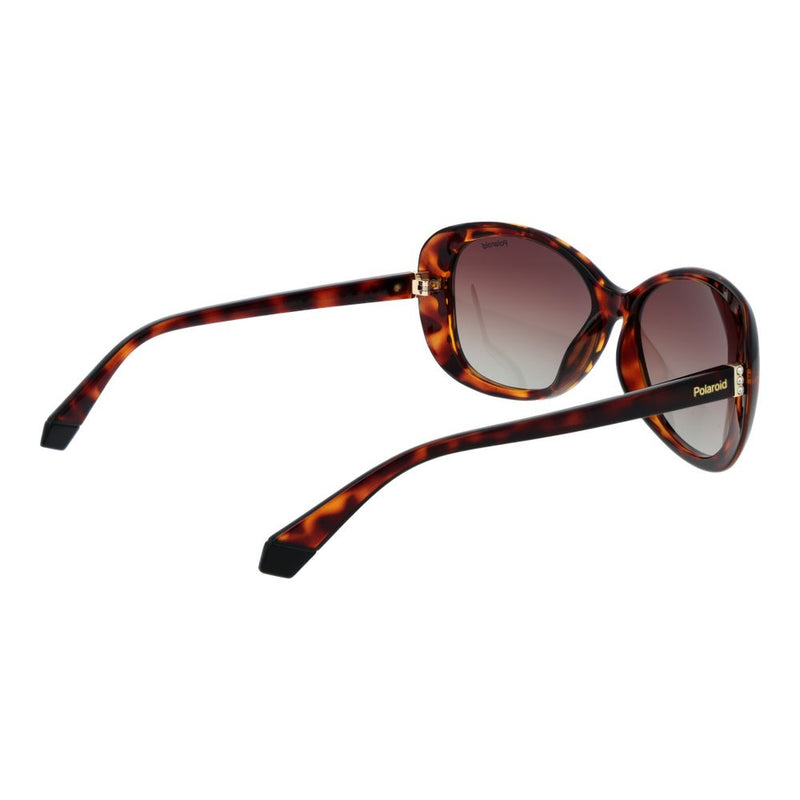 Polaroid Brown Plastic Butterfly Sunglasses for Women
