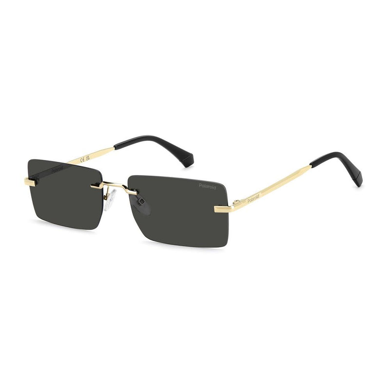 Polaroid Black Metal Sunglasses for Men