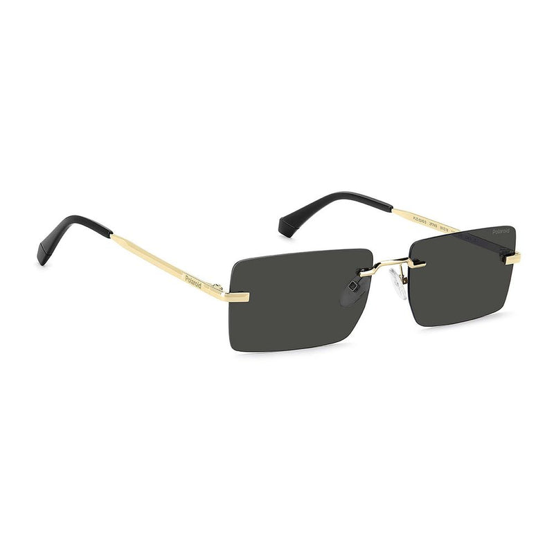 Polaroid Black Metal Sunglasses for Men