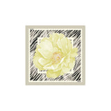 Liu Jo Gray Polyester Foulard