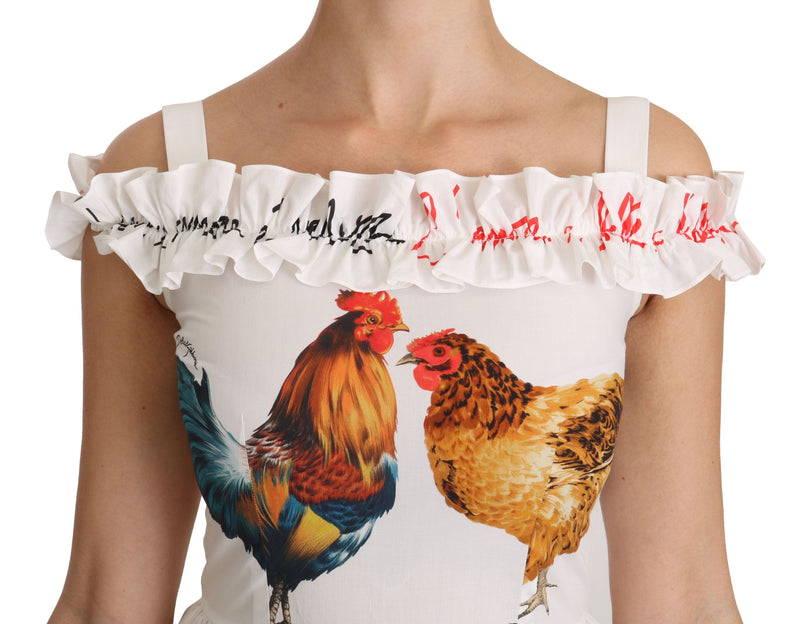 Robe midi en coton blanche à motif coq de Dolce &amp; Gabbana