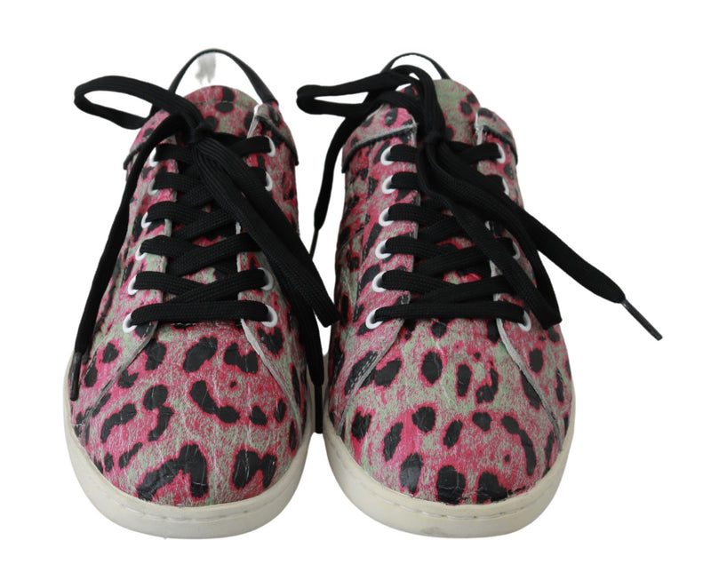 Sneakers plates en cuir rose à imprimé léopard de Dolce &amp; Gabbana