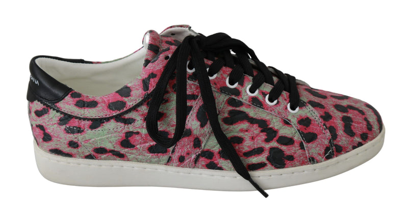 Sneakers plates en cuir rose à imprimé léopard de Dolce &amp; Gabbana