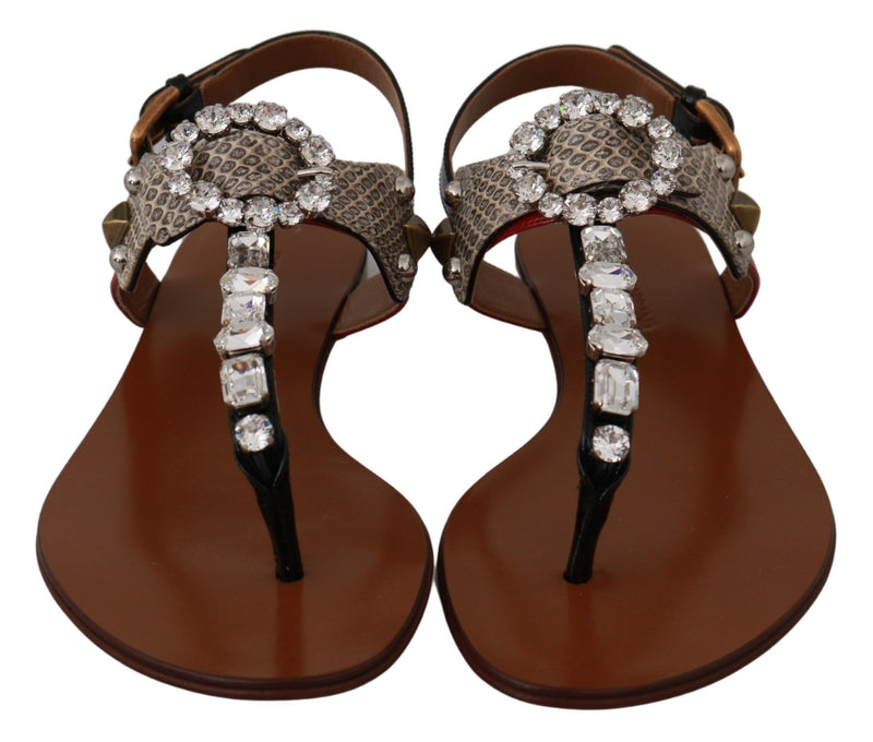 Sandales tongs en cuir et cristal Dolce &amp; Gabbana Ayers