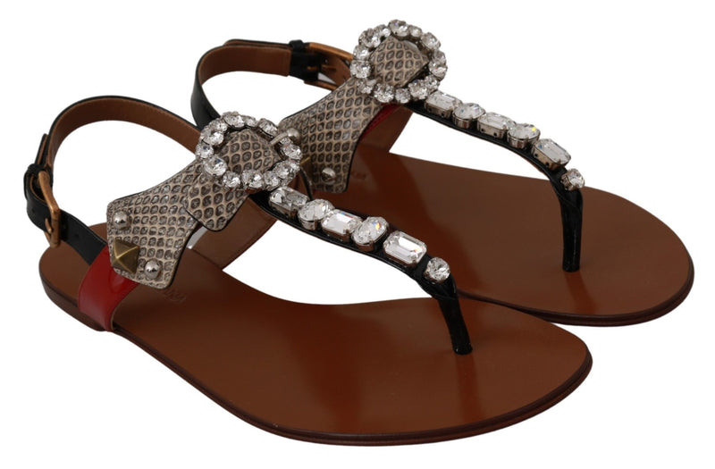 Sandales tongs en cuir et cristal Dolce &amp; Gabbana Ayers