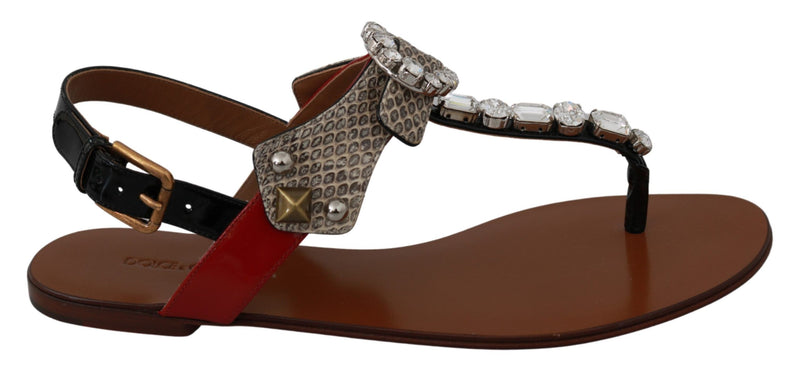 Sandales tongs en cuir et cristal Dolce &amp; Gabbana Ayers