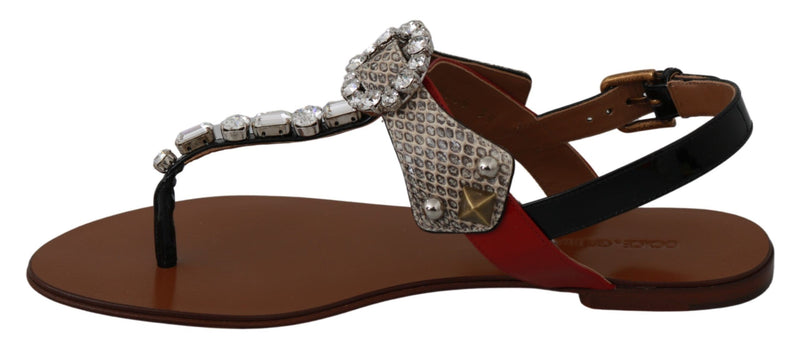 Sandales tongs en cuir et cristal Dolce &amp; Gabbana Ayers
