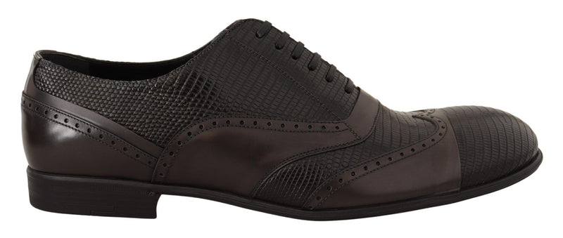 Chaussures Oxford en cuir de lézard marron de Dolce &amp; Gabbana
