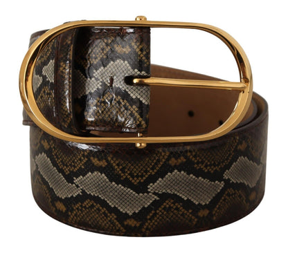 Ceinture Dolce & Gabbana en cuir de python marron avec boucle ovale dorée