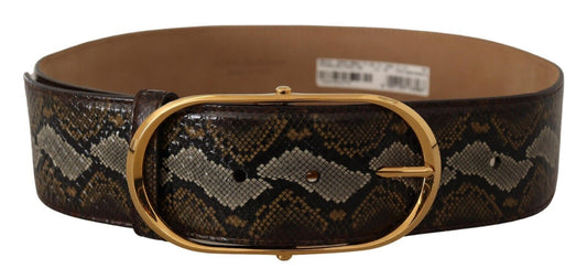 Ceinture Dolce & Gabbana en cuir de python marron avec boucle ovale dorée