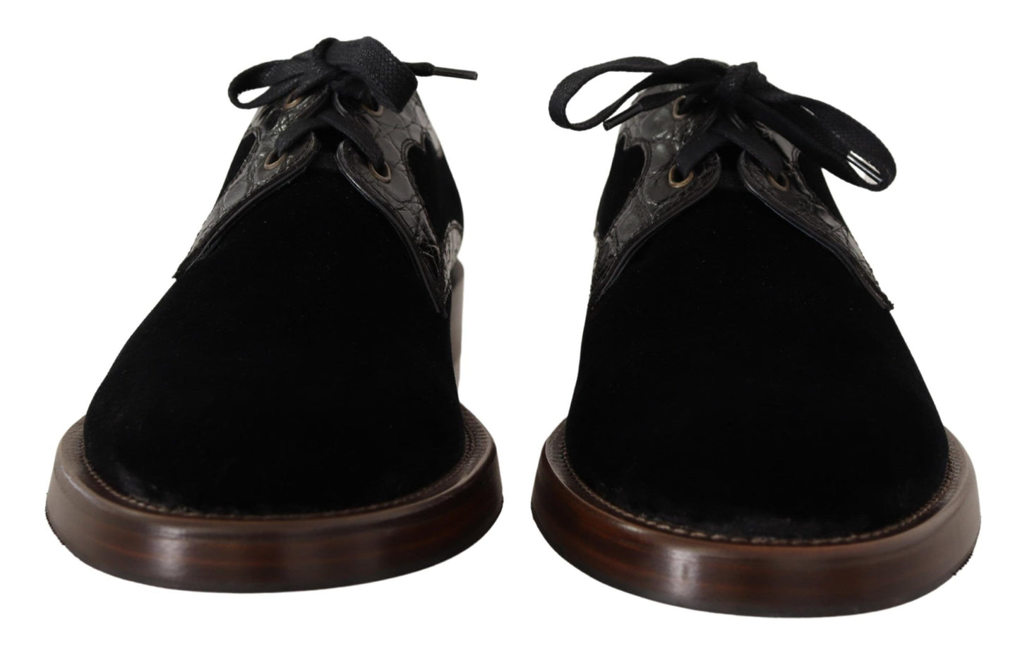 Dolce & Gabbana Chaussures en velours noir et cuir exotique