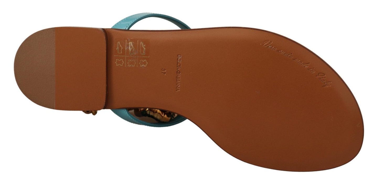 Sandales plates Devotion en cuir bleu de Dolce & Gabbana