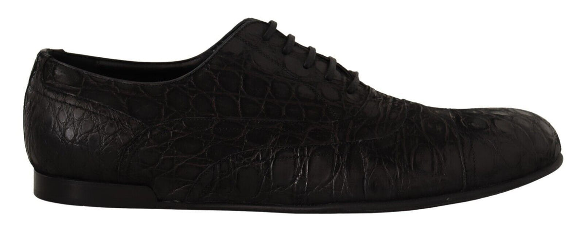 Dolce & Gabbana Black Caiman Leather Men's Oxford Shoes